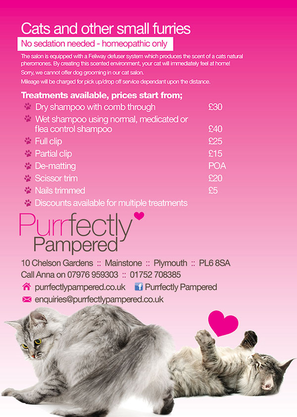 Cat Groomer Leaflet Printing and Design